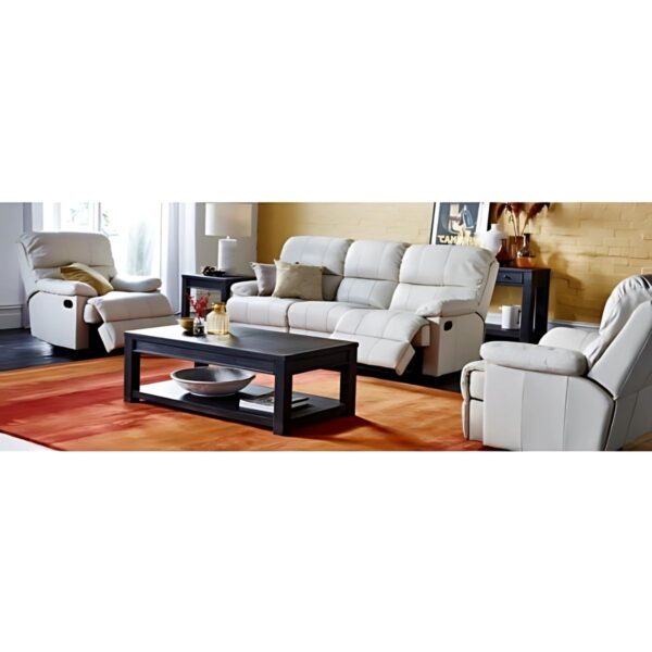 Swiss Leather Lift Chair Series