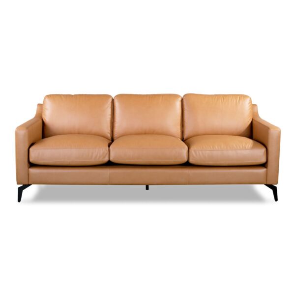 Dale Lounge Leather Series