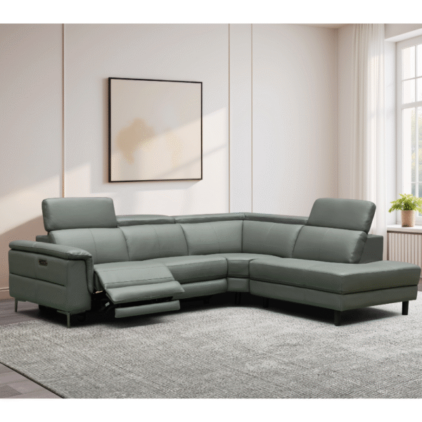 RAYMOND LEATHER LOUNGE SERIES